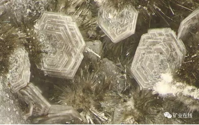 2b48dd082871ce327fc8b94346f04629.png 33.png