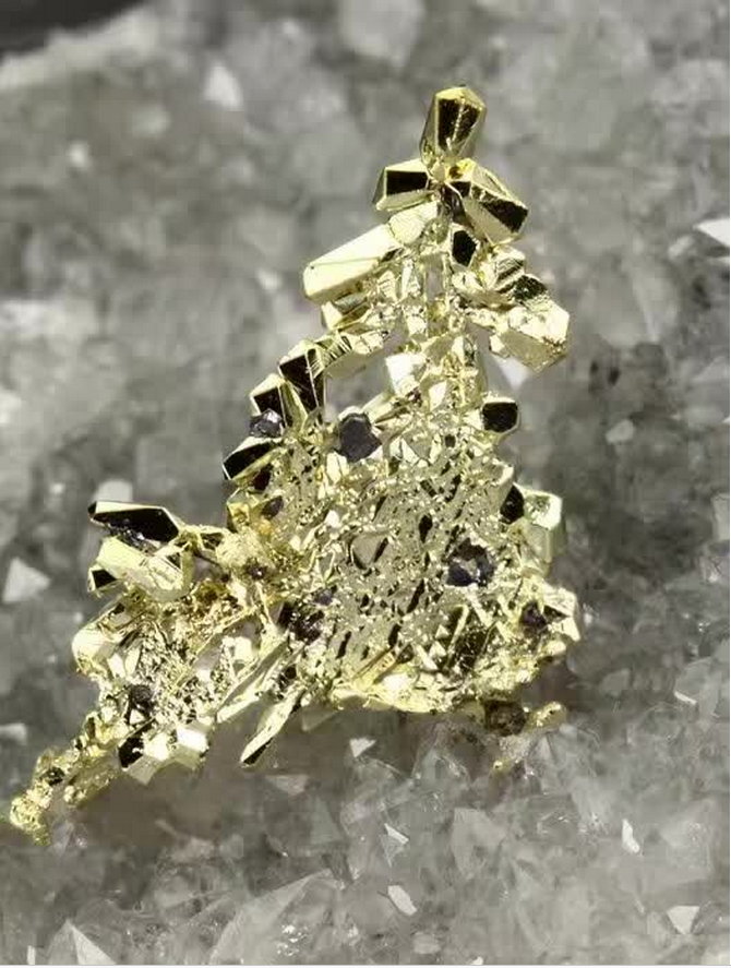 c903b3a305a5203227f4b9e90e5675e8.png 3.png