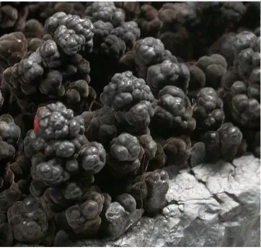 dd015cb559643b69d5ec0904545c5398.png 22.png