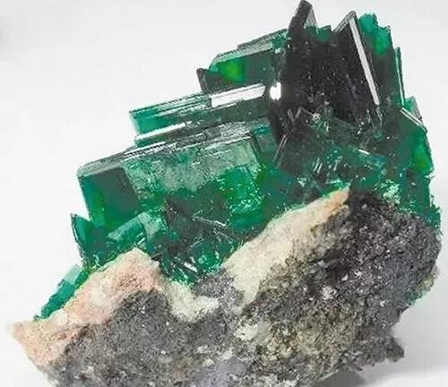 f3a691bb830c3a2c92b5ba6db939da97.jpg 9.jpg